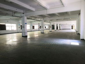 福永白石廈國道邊新出獨(dú)院16000平精裝修廠招租500平起租