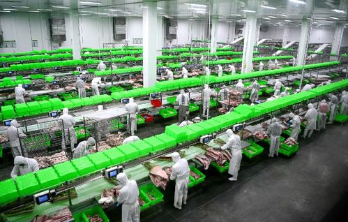 2020，南陽城鄉巨變 三起來戰略如何勁推城市出新出彩